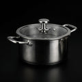 Titanium Cooking Pot with Lid